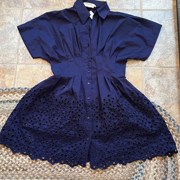 Anthropologie x Exquise The Tobie Button-Front Pleated Mini Shirt Dress Med NWT - Picture 11 of 16